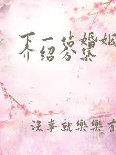 下一站婚姻剧情介绍分集