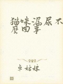 猫咪漏尿不止怎么回事