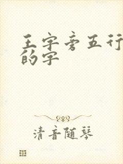 王字旁五行属水的字