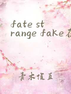 fate strange fake在线观看动画