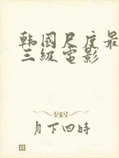 韩国尺度最大的三级电影