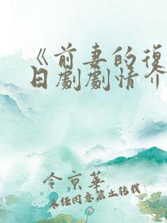 《前妻的复仇》日剧剧情介绍