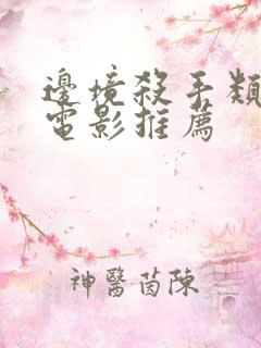 边境杀手类似的电影推荐