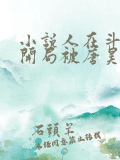 小说人在斗罗,开局被唐昊抛弃