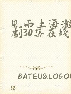 风雨上海滩电视剧30集在线观看免费