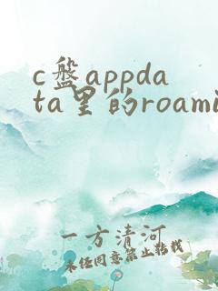 c盘appdata里的roaming可以删除吗