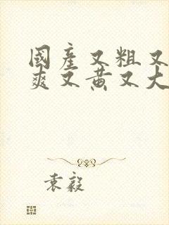 国产又粗又猛又爽又黄又大视频