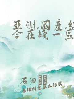 亚洲,国产,综合在线一区