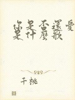 你是否还爱着我是什么歌