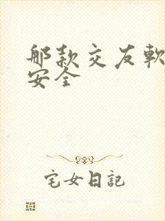 那款交友软件最安全