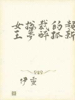 女总裁的超级兵王梦醉孤新txt