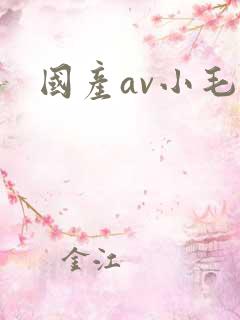 国产av小毛片
