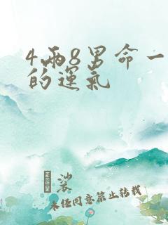 4两8男命一生的运气