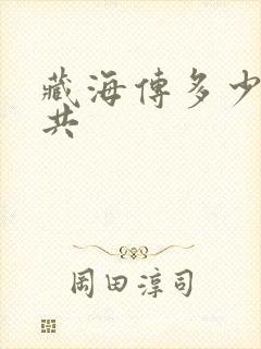 藏海传多少集一共