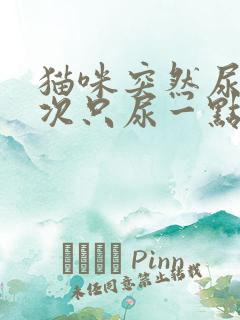 猫咪突然尿频每次只尿一点怎么治疗