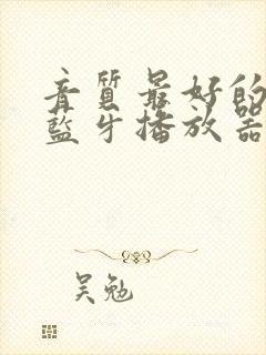 音质最好的车载蓝牙播放器