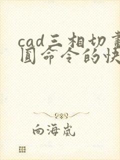 cad三相切画圆命令的快捷键