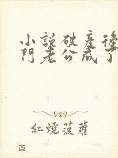 小说破产后,上门老公成了我的金主