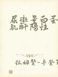 尿微量白蛋白/肌酐阳性