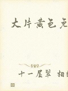 大片黄色免费看