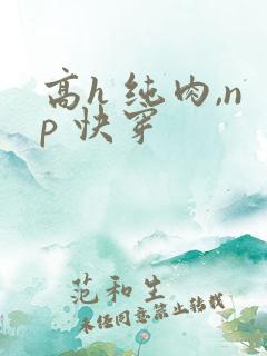 高h 纯肉,np 快穿