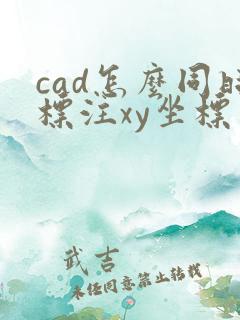 cad怎么同时标注xy坐标