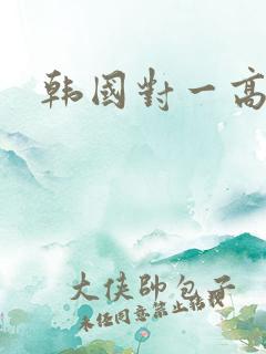 韩国对一高清片