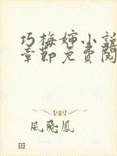 巧梅婶小说最新章节免费阅读