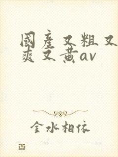 国产又粗又猛又爽又黄av