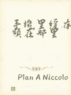 手机里缓存的视频在哪里