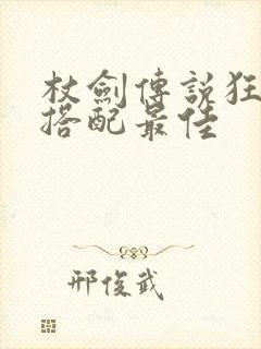 杖剑传说狂战士搭配最佳