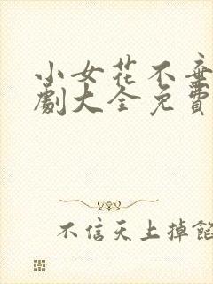 小女花不弃电视剧大全免费