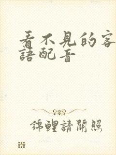 看不见的客人国语配音