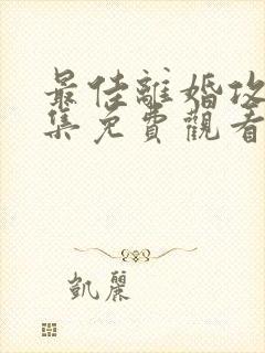 最佳离婚攻略全集免费观看