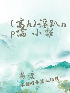 (高h)淫趴np伦 小说