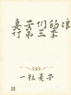 妻子们的浪漫旅行第三季