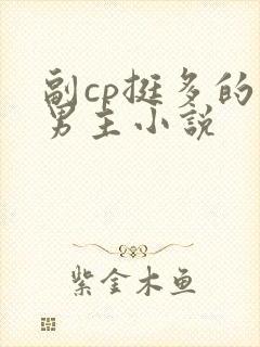 副cp挺多的双男主小说