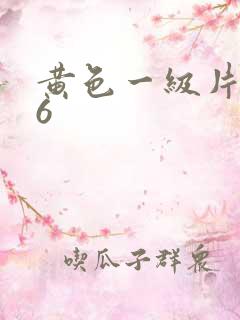 黄色一级片666