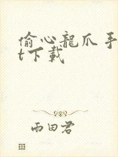 偷心龙爪手txt下载