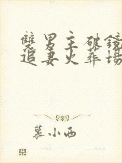 双男主破镜重圆追妻火葬场