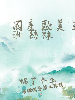 国产 欧美 亚洲 丝袜