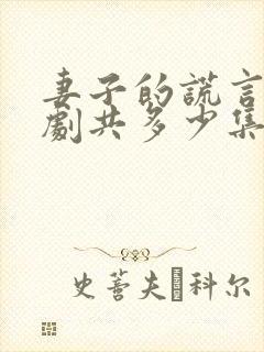 妻子的谎言电视剧共多少集