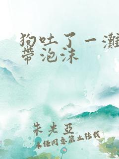 狗吐了一滩黄水带泡沫