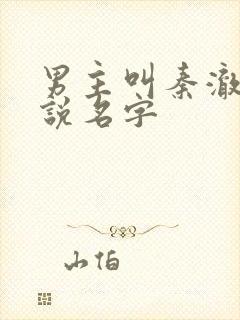 男主叫秦澈的小说名字