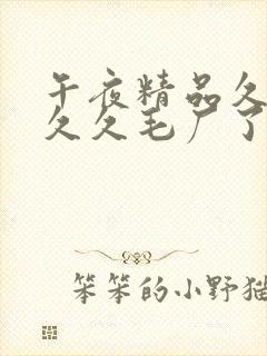 午夜精品久久久久久毛厂了