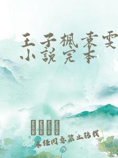 王子枫袁雯洁的小说完本