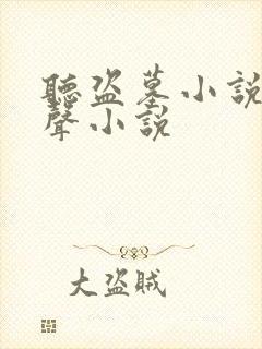 听盗墓小说的有声小说