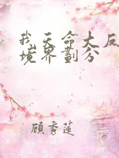 我天命大反派的境界划分