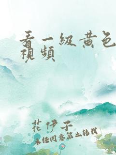 看一级黄色性感视频