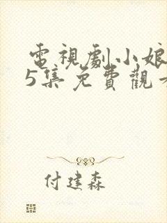 电视剧小娘惹45集免费观看大结局剧情